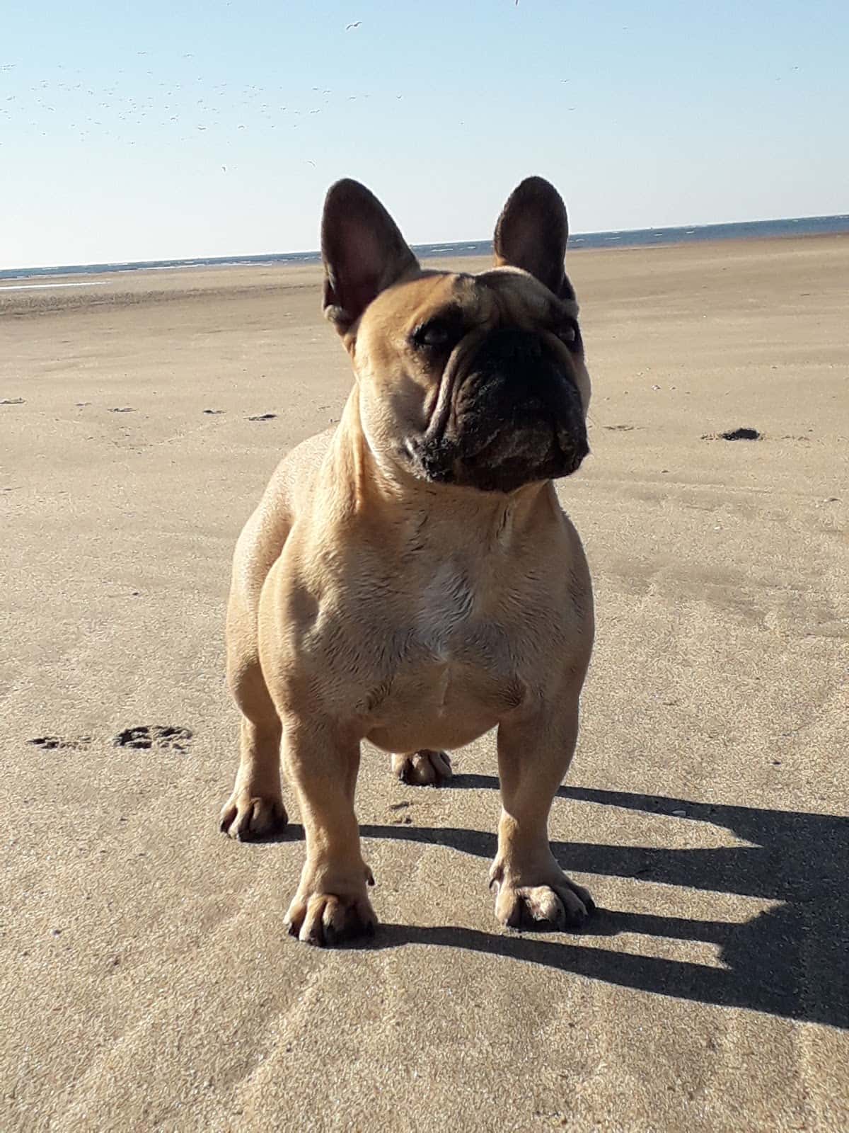 Centro Veterinario Don Can