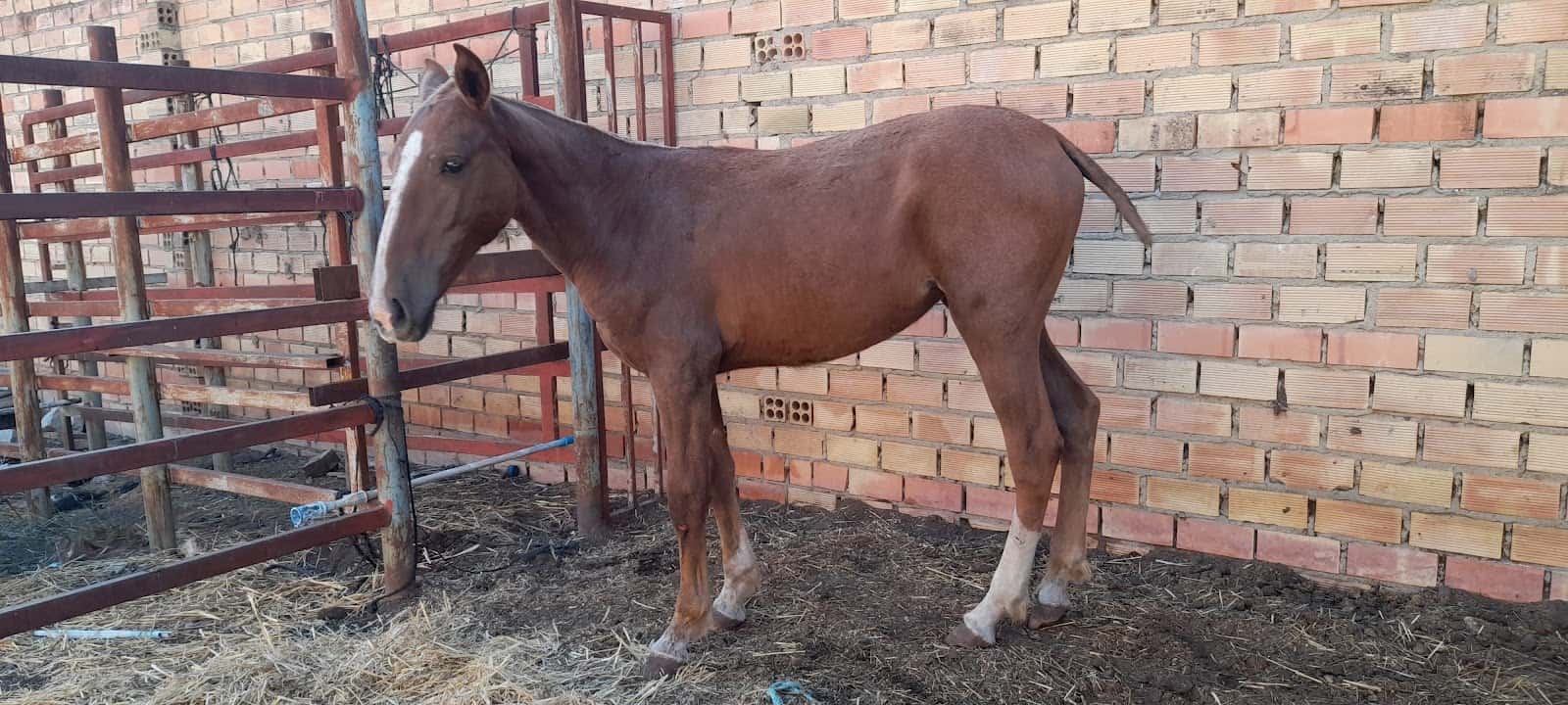 Centro Veterinario Dunas