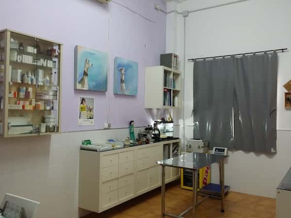 Veterinario Full Animals