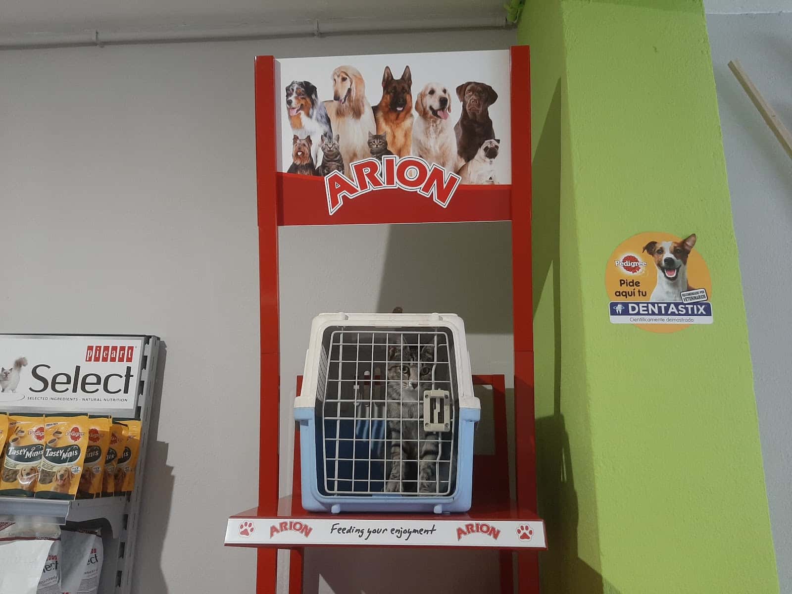 clinica veterinaria salud doñana