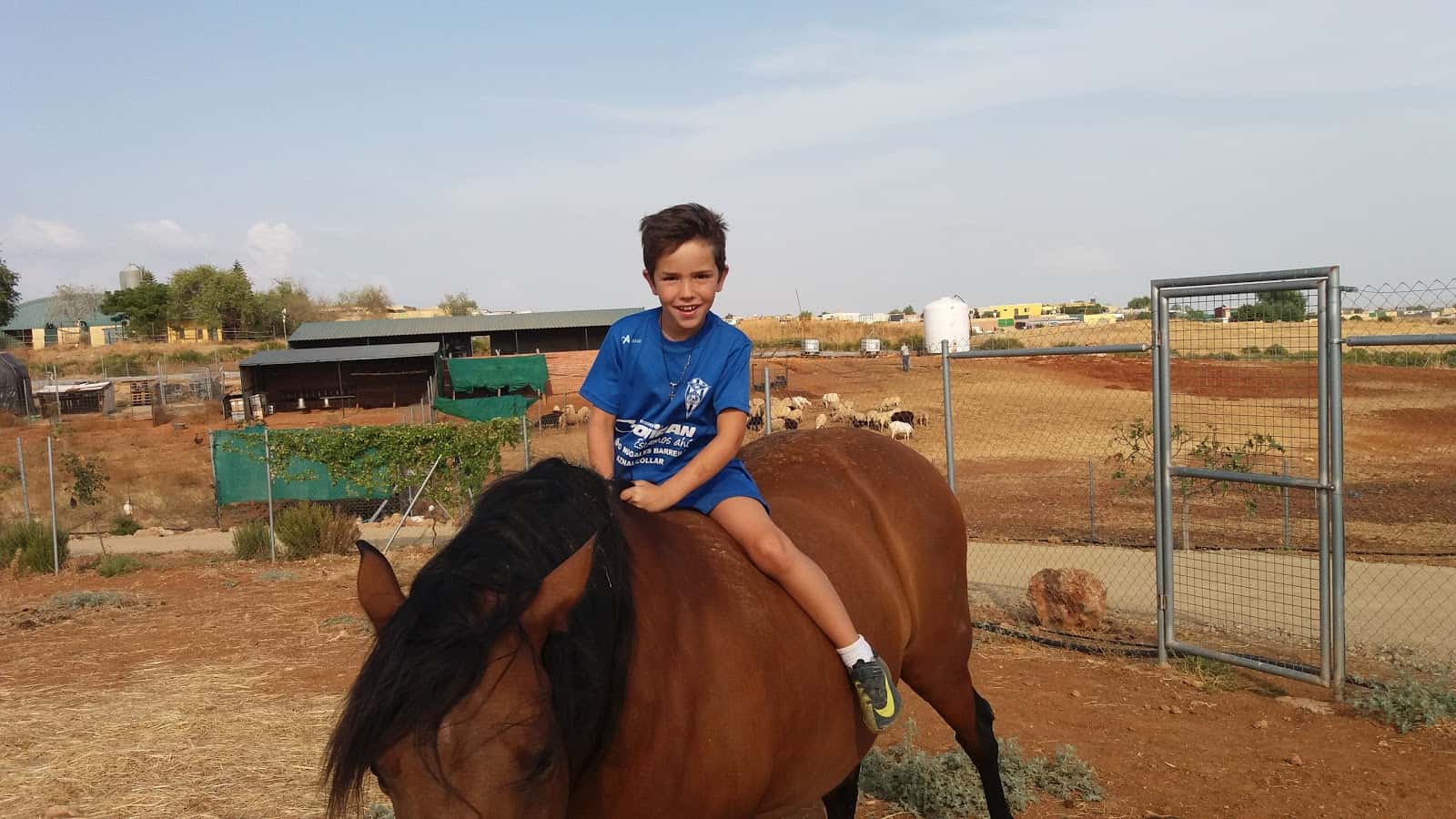 Cedevet Veterinaria SLL