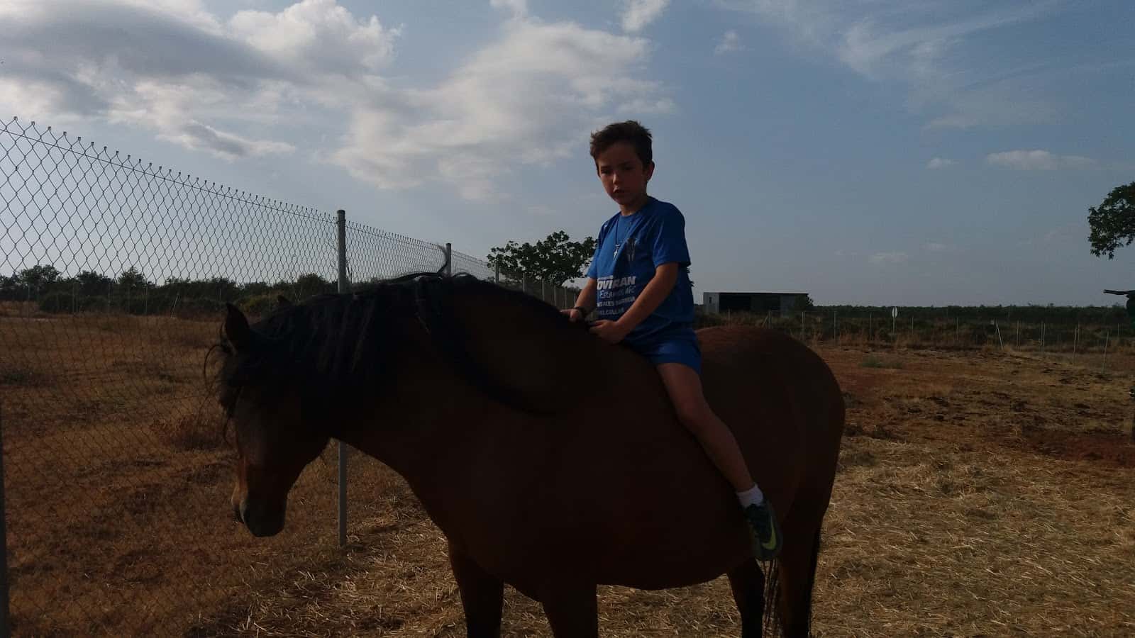 Cedevet Veterinaria SLL