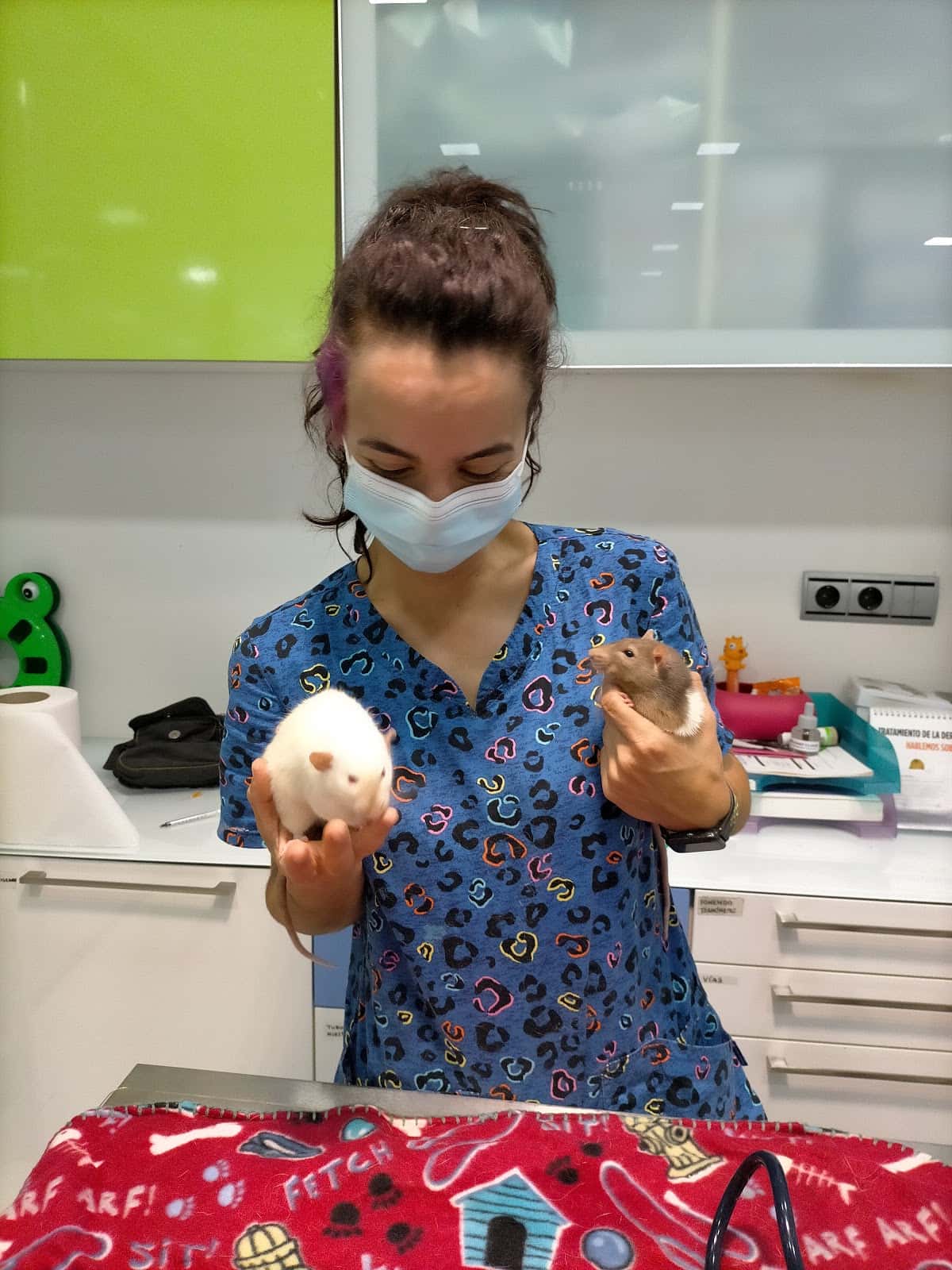 LaVida Vet. Consulta Veterinaria Especialista en Pequeños Animales y Exóticos