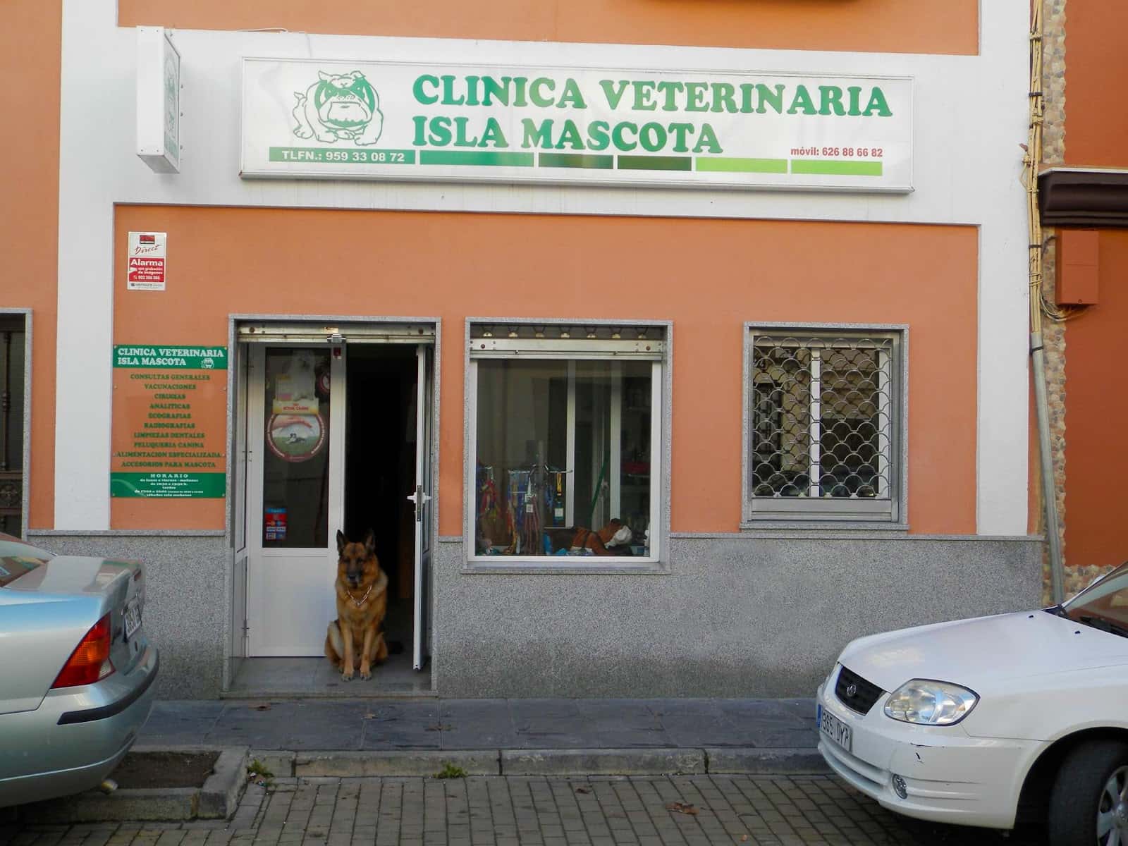 clinica veterinaria isla mascota veterinario clinica en isla cristina en huelva principalImage ADOPTA Sitios Pet Friendly