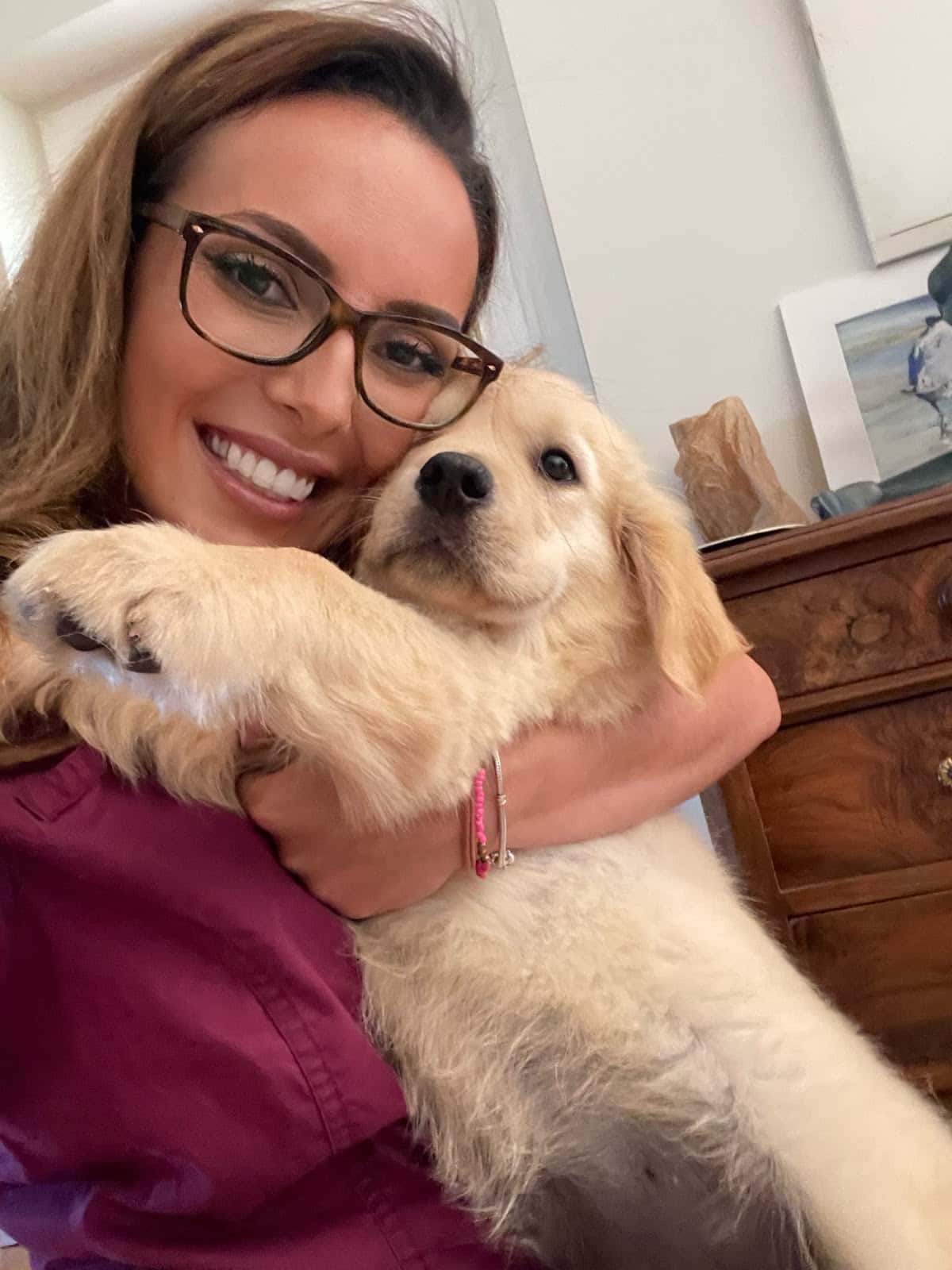 CSVET - Centro Veterinário