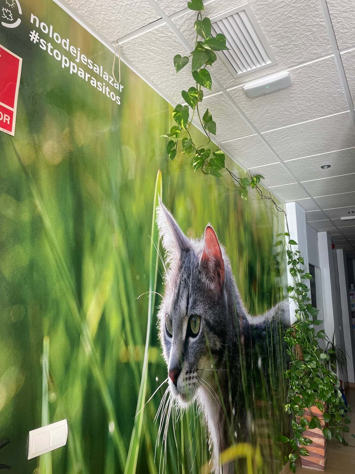 Centro Veterinario Llandes