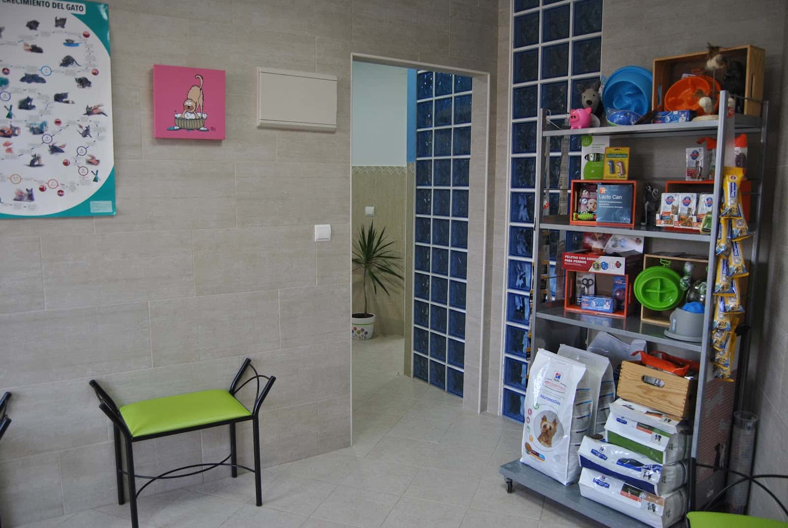 clinica los barcos en islantilla veterinario clinica en islantilla en huelva principalImage ADOPTA Sitios Pet Friendly