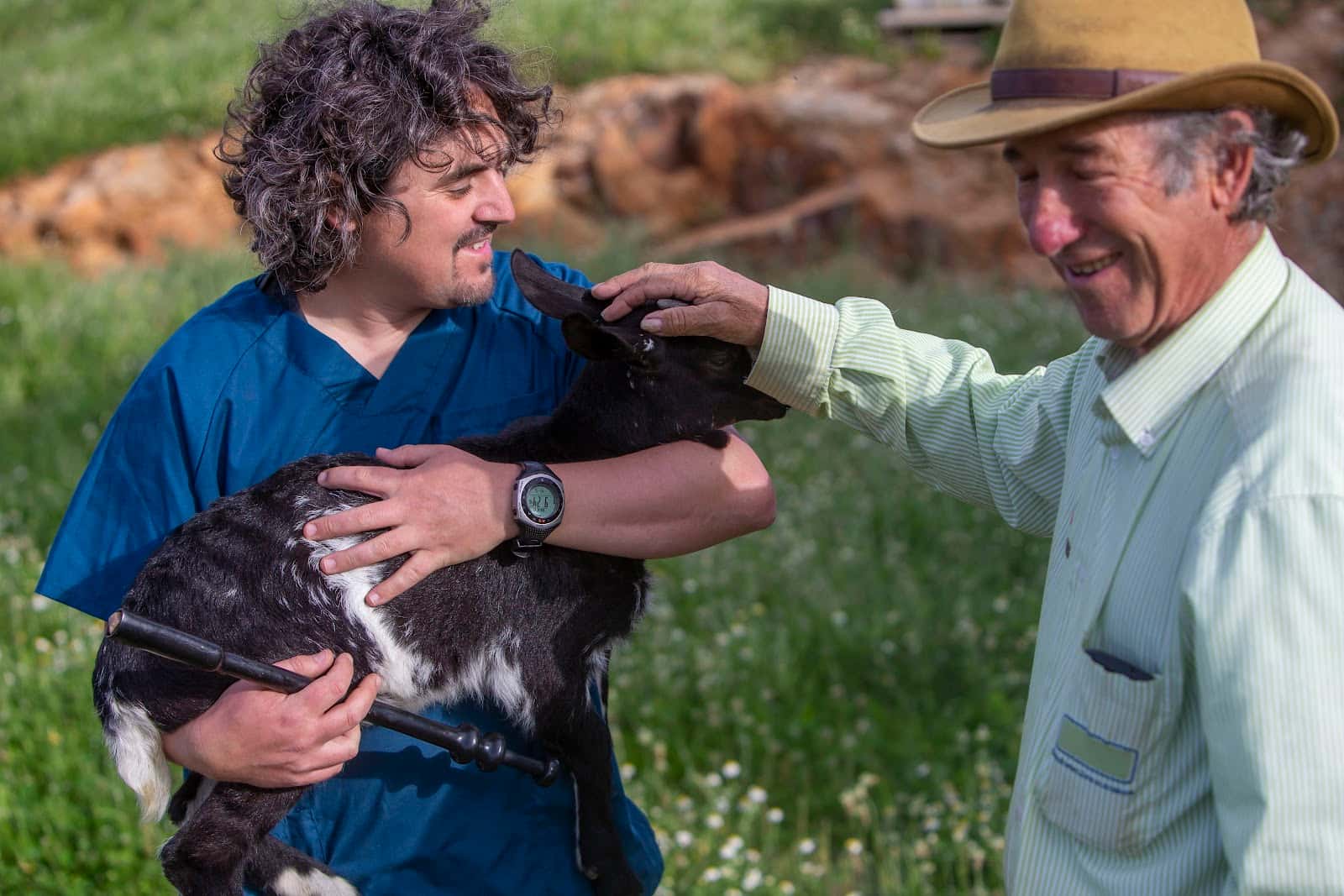 SANAS-Álvaro Fdez-Blanco Barreto_Fitoterapia & Veterinaria & Agroecologia