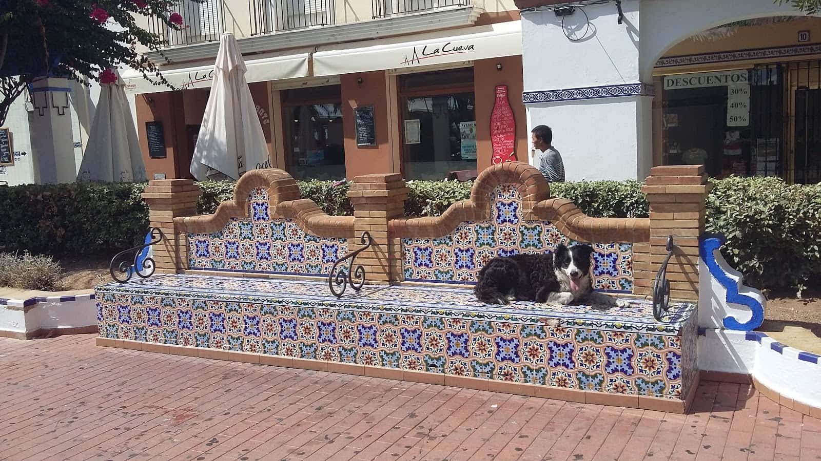 Clínica Veterinaria Ayamonte