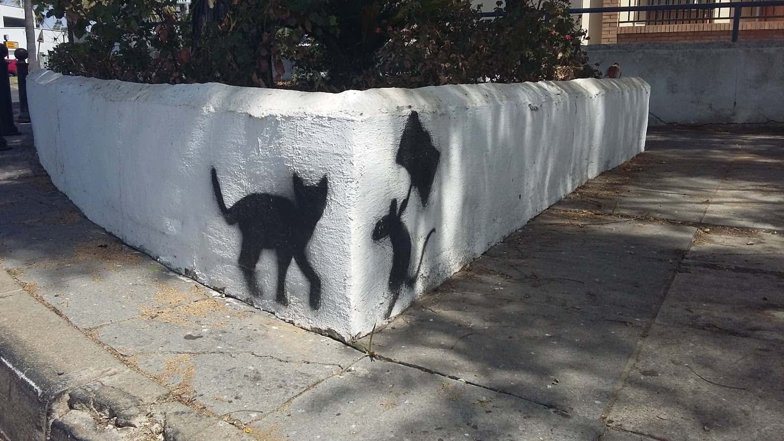 Clínica Veterinaria Ayamonte