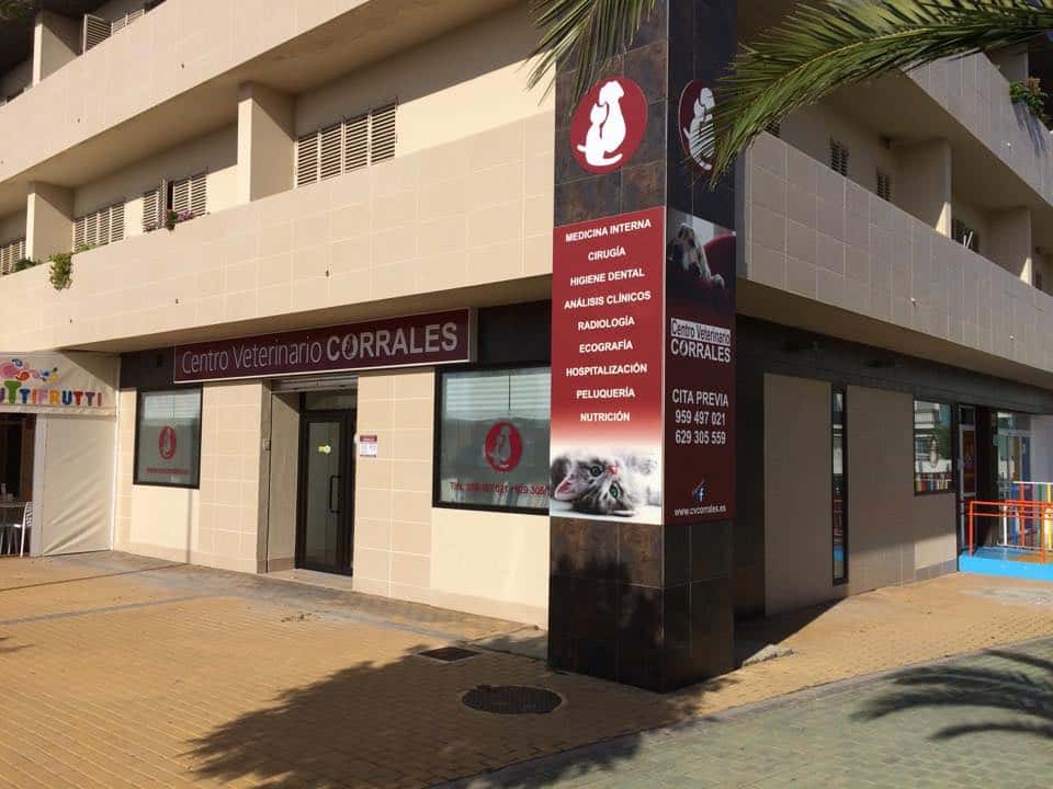 centro veterinario corrales veterinario centro en corrales en huelva principalImage ADOPTA Sitios Pet Friendly