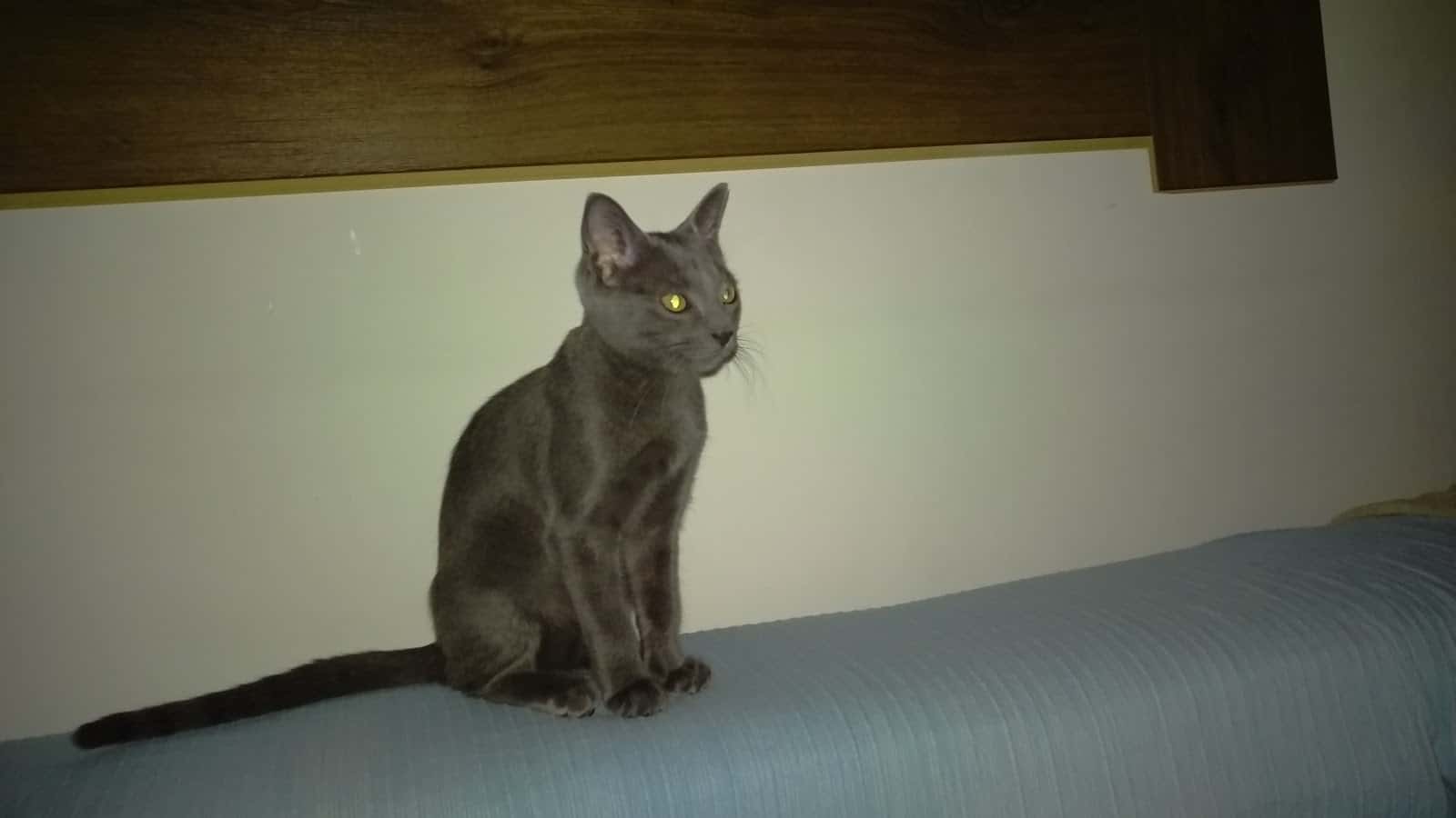 Centro Veterinario Natura