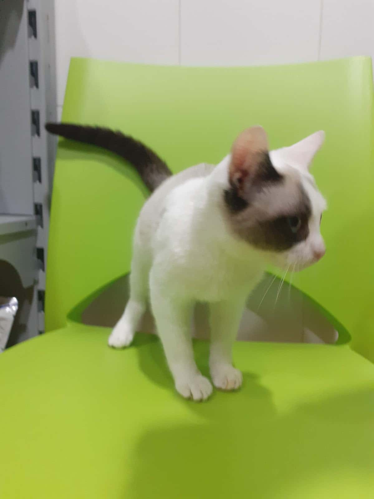 Centro Veterinario Natura