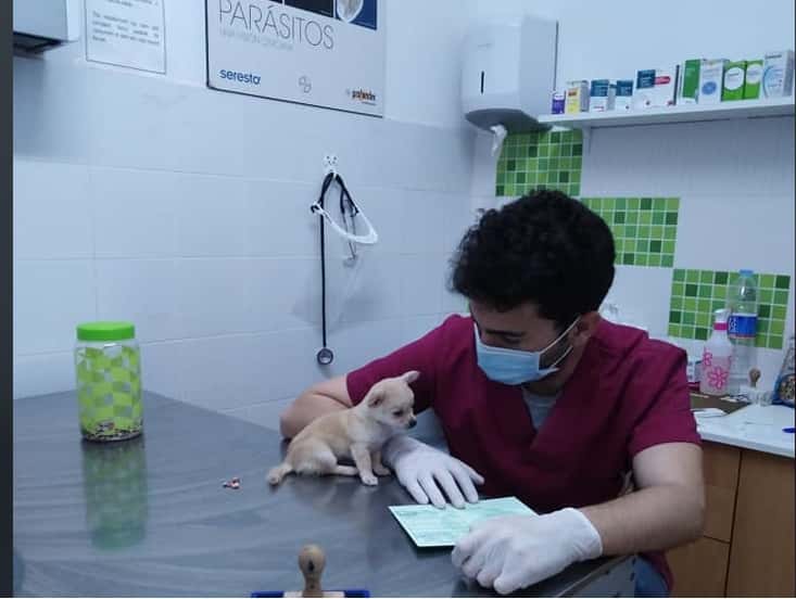 Centro Veterinario Natura