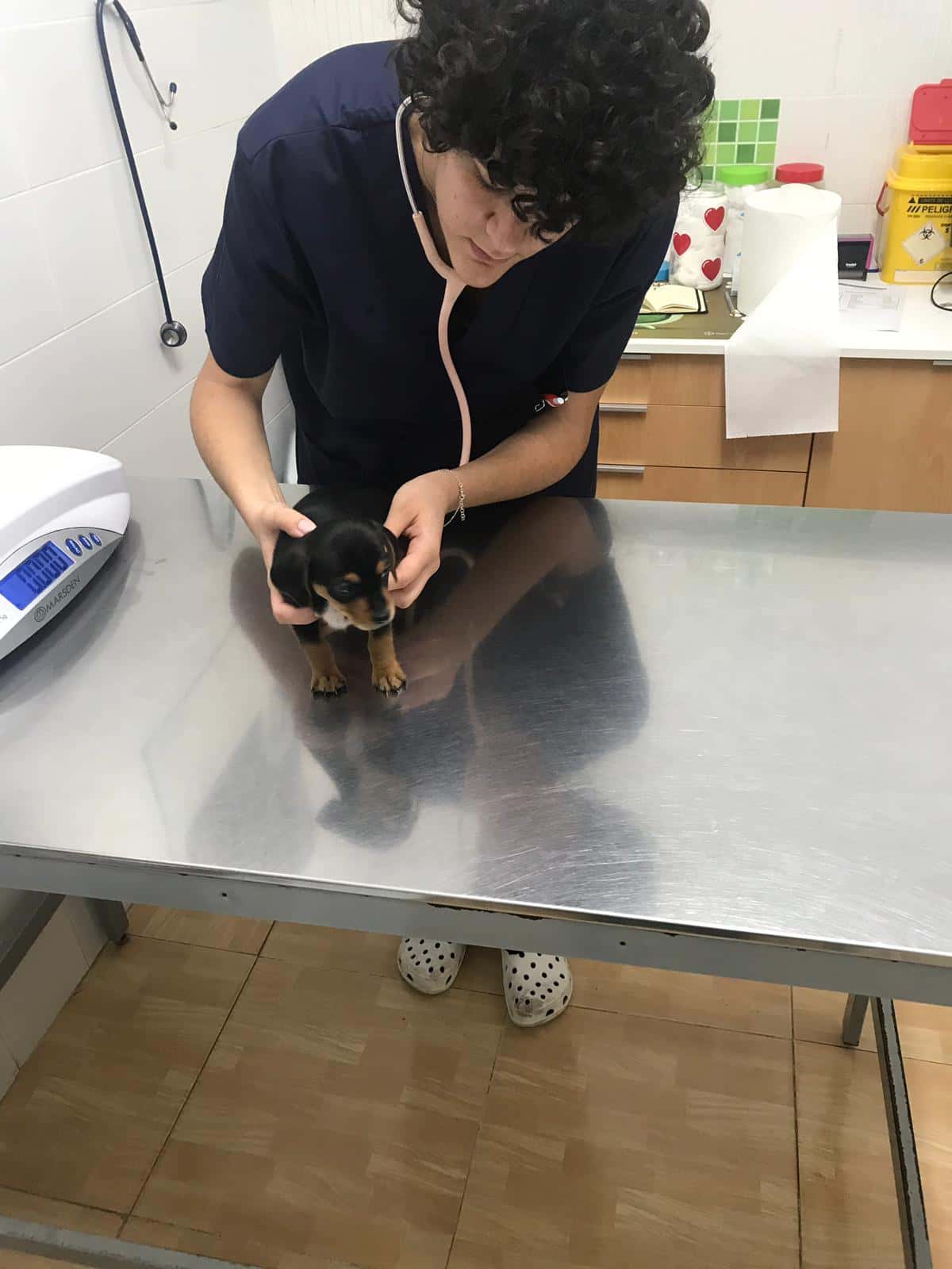 Centro Veterinario Natura