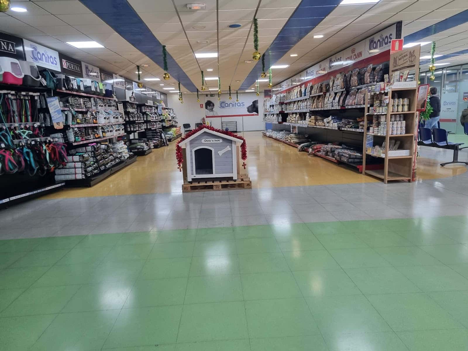 canitas veterinaria huelva veterinario centro barrio huelva en huelva en huelva principalImage ADOPTA Sitios Pet Friendly