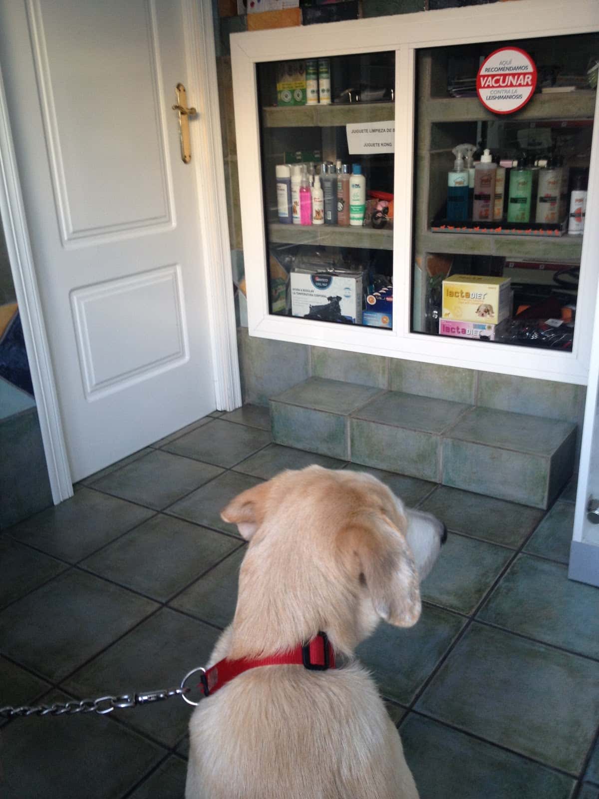 Centro Veterinario La Orden
