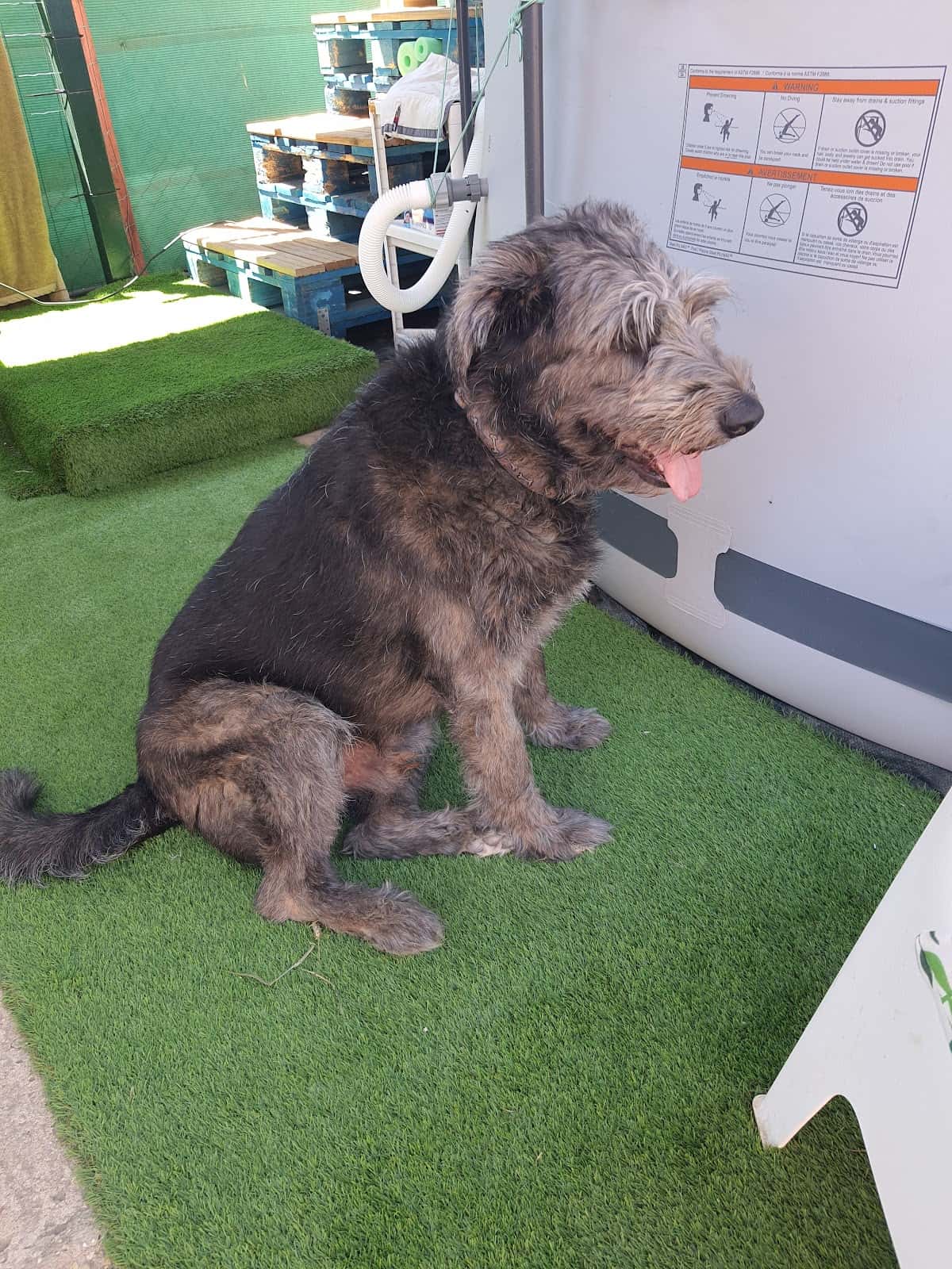 Barriga Verde - Clínica Veterinaria