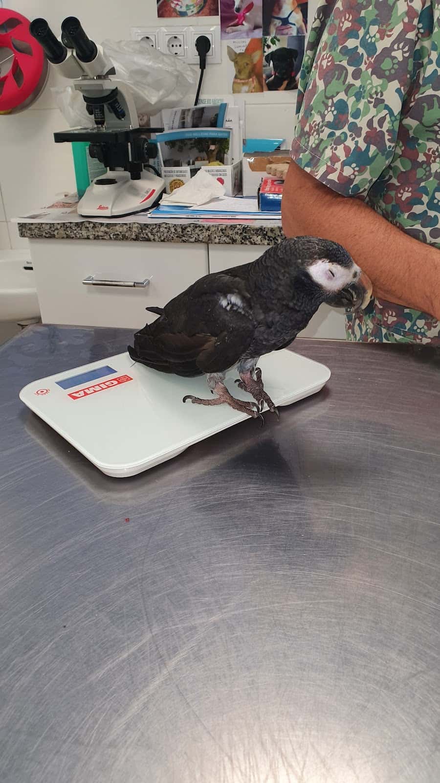 Clínica Veterinaria Adoratrices