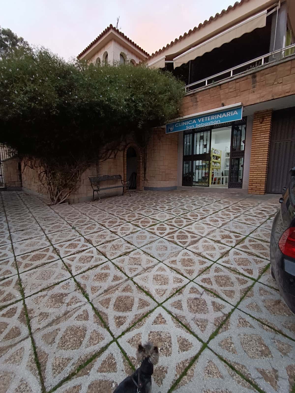 Clínica Veterinaria San Sebastián