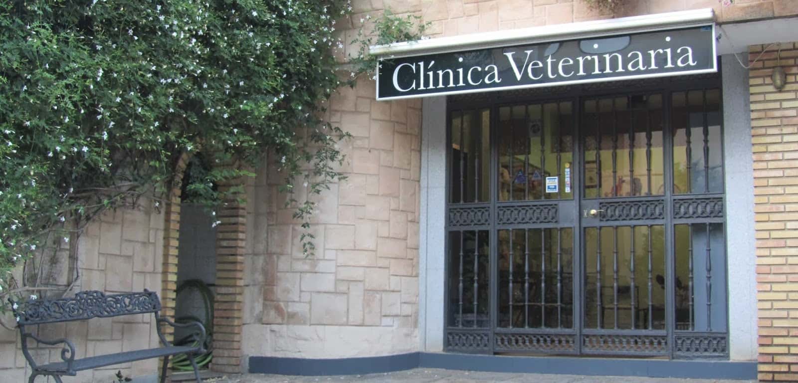 clinica veterinaria san sebastian veterinario clinica barrio huelva en huelva en huelva principalImage ADOPTA Sitios Pet Friendly