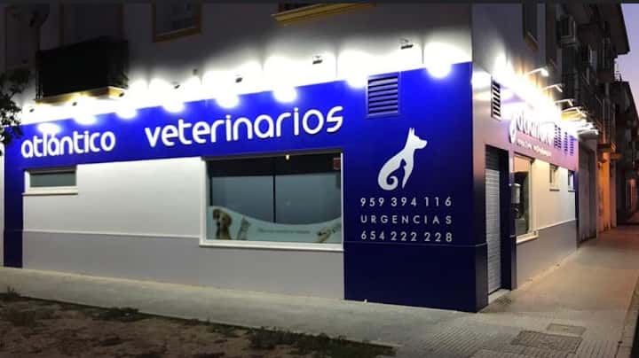 centro veterinario atlantico veterinario centro en cartaya en huelva principalImage ADOPTA Sitios Pet Friendly