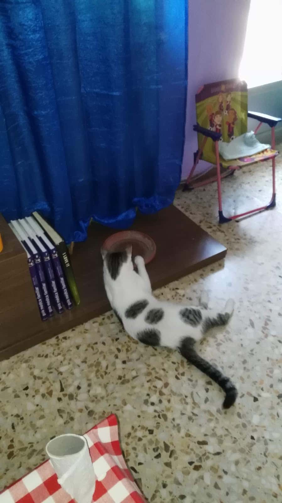 CENTRO VETERINARIO LOS OLIVOS DE HUESCA