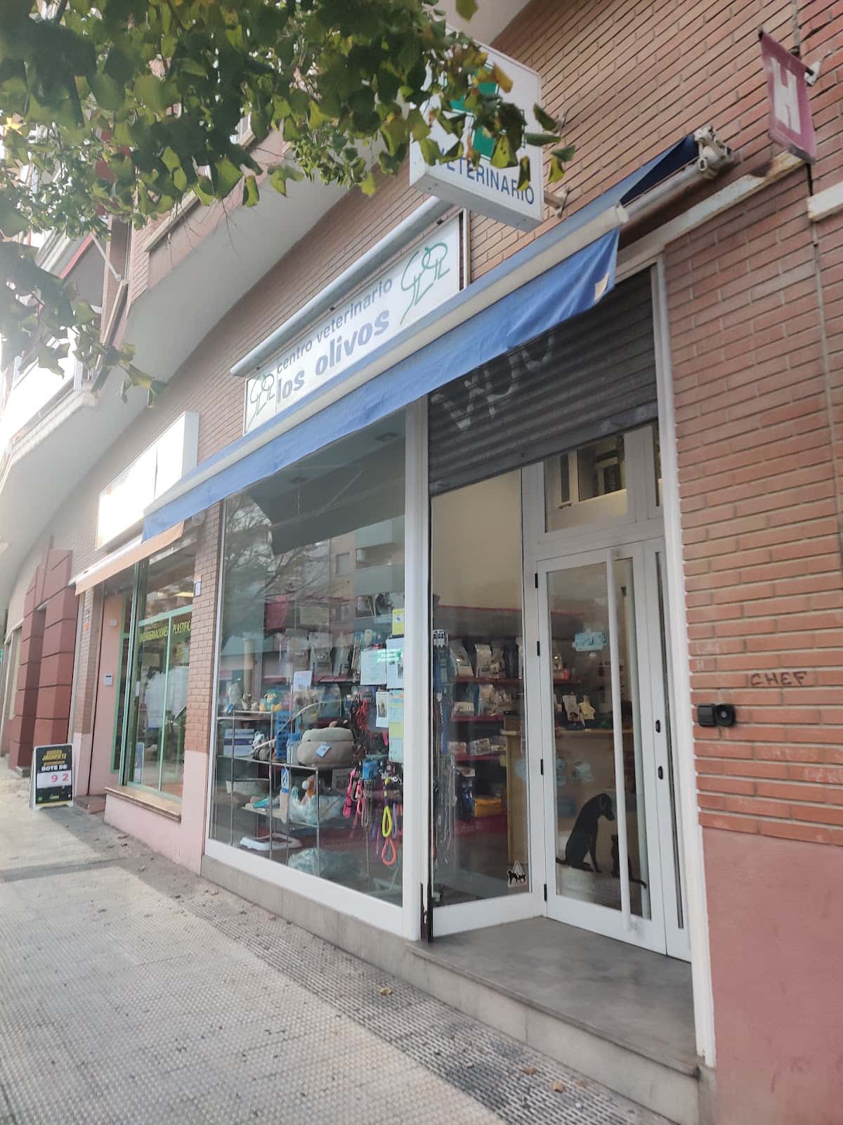 centro veterinario los olivos de huesca veterinario centro barrio huesca en huesca en huesca principalImage ADOPTA Sitios Pet Friendly
