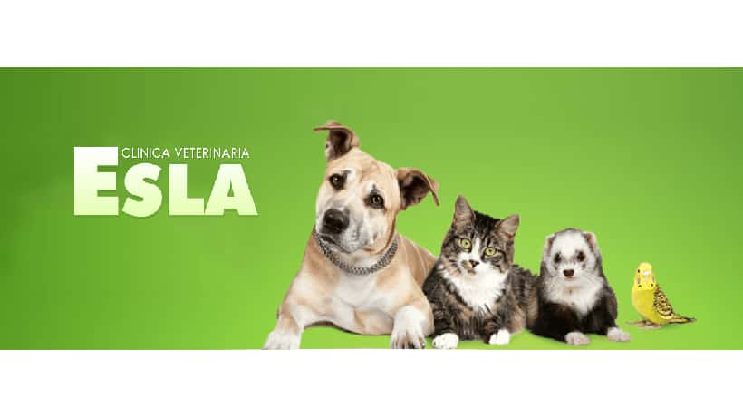 Clinica Veterinaria Esla