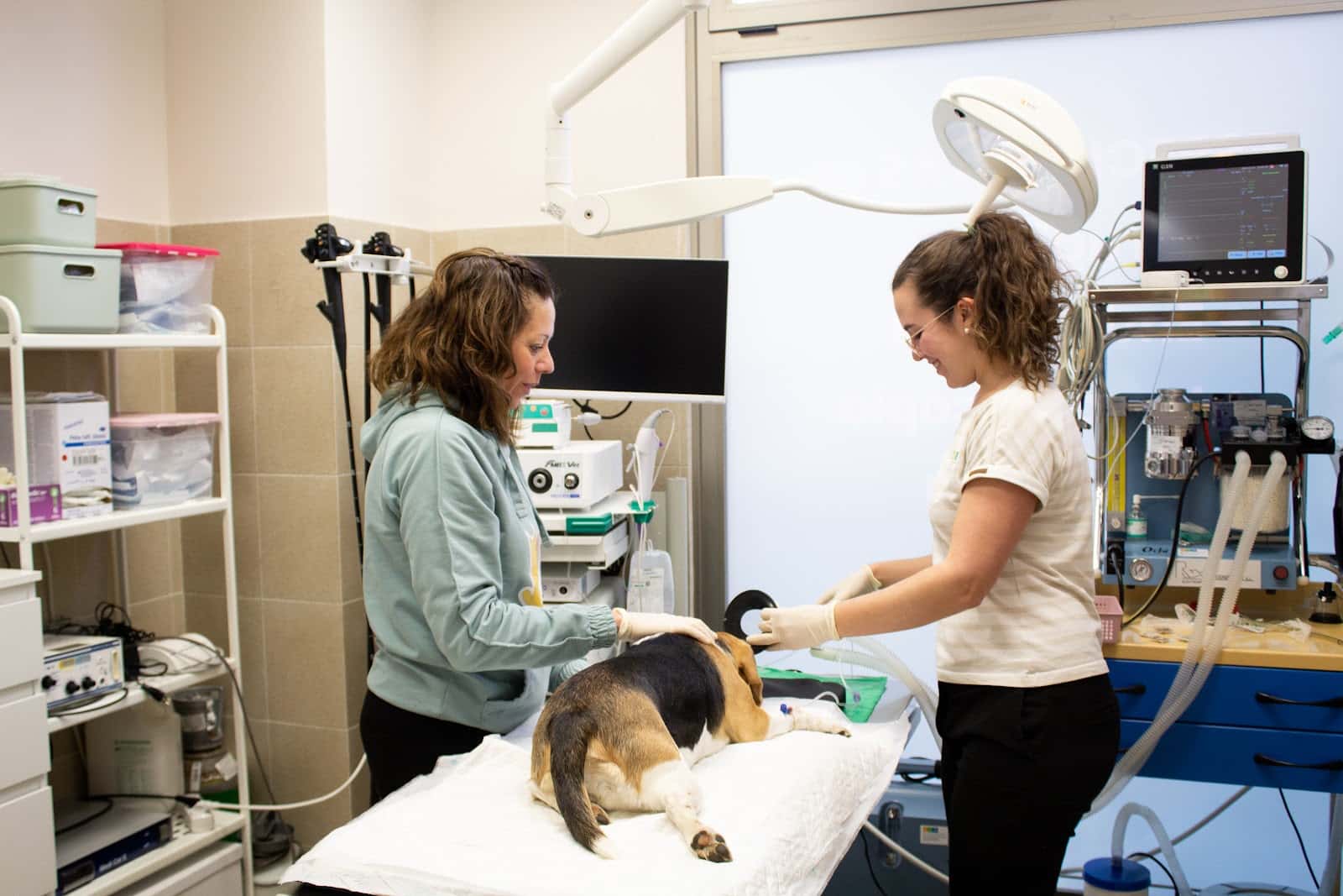 Policlínica Veterinaria Oza