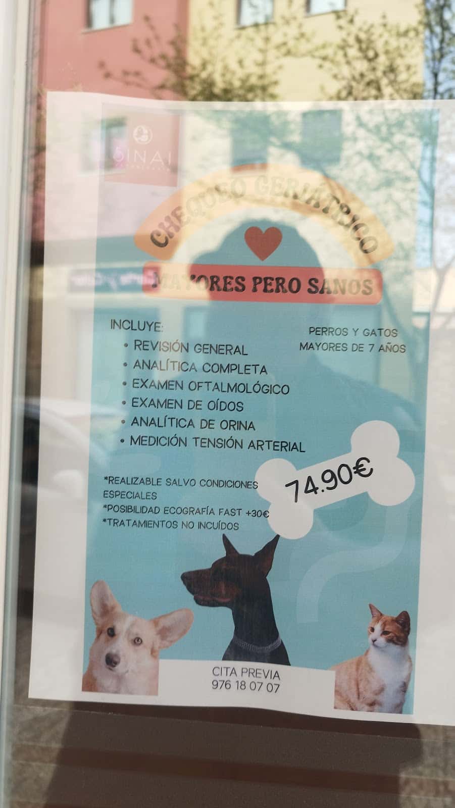 Consultorio Veterinario Villanueva