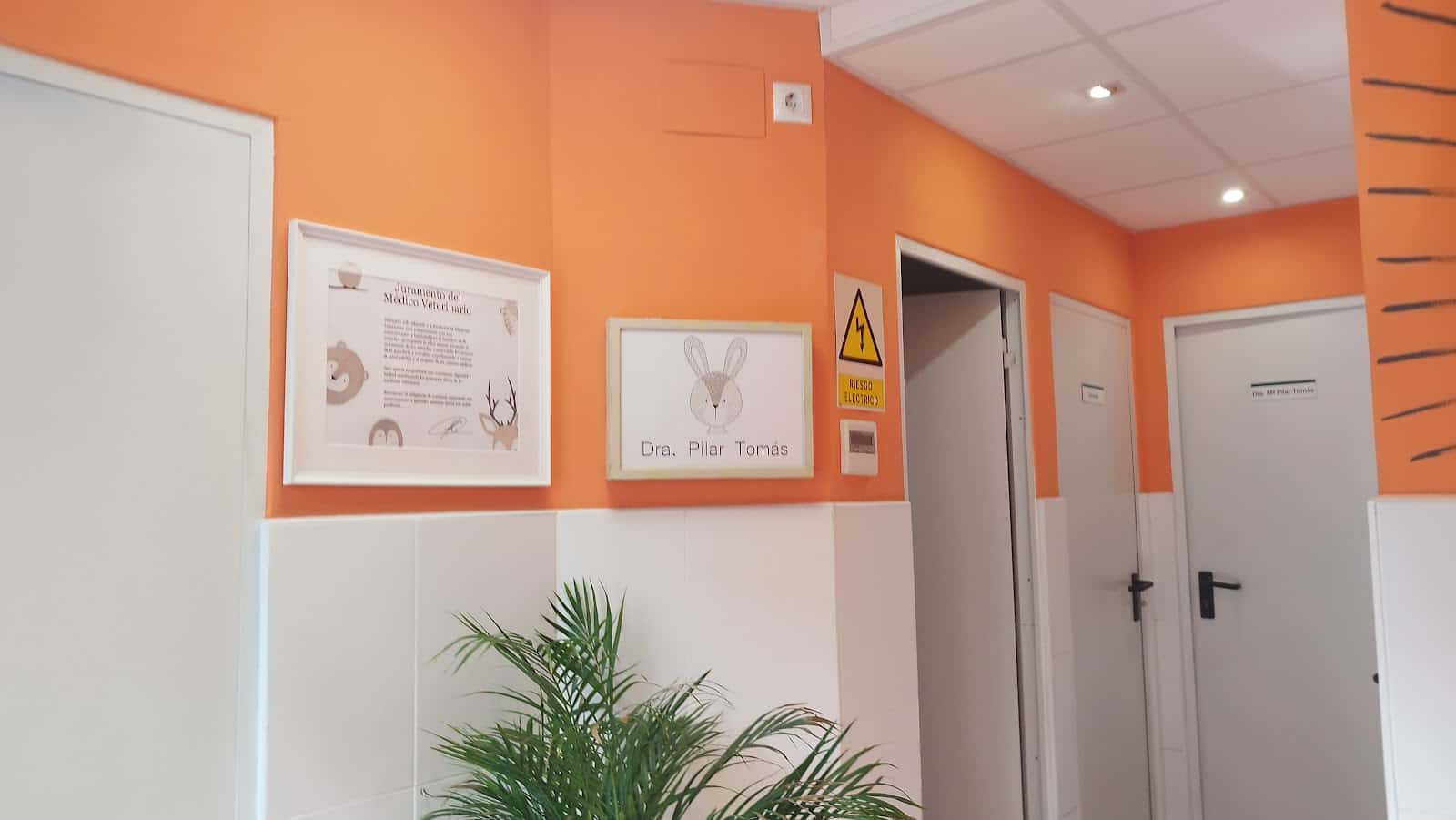 consultorio veterinario villanueva veterinario centro en villanueva de gallego en zaragoza principalImage ADOPTA Sitios Pet Friendly