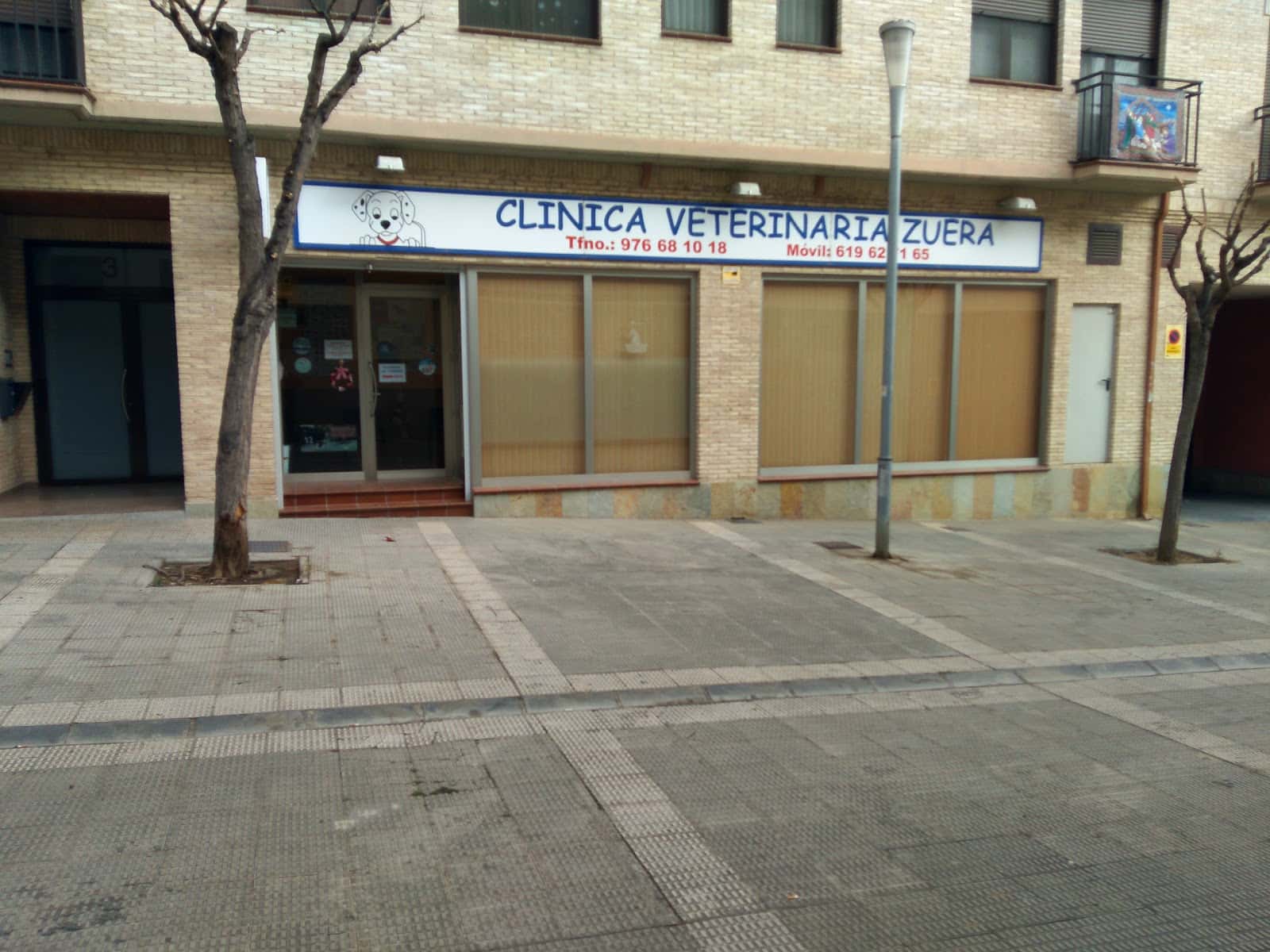 clinica veterinaria de zuera veterinario clinica en zuera en zaragoza principalImage ADOPTA Sitios Pet Friendly