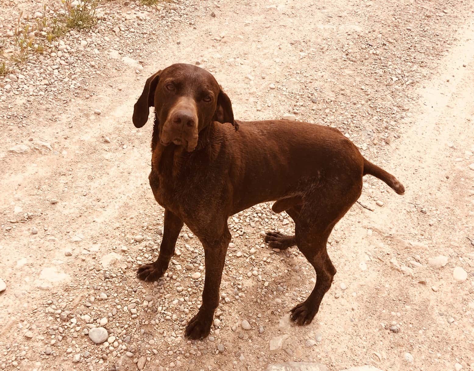Clínica Veterinaria Ohana
