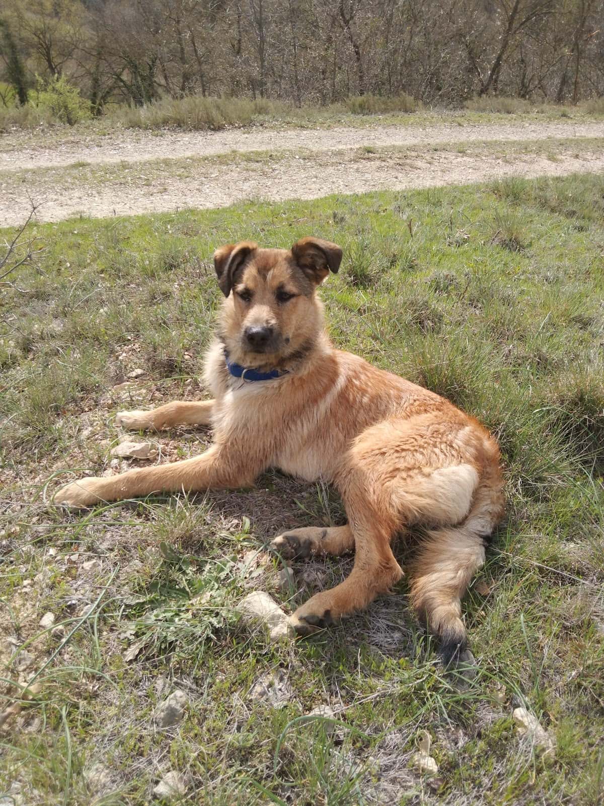 Clínica Veterinaria Amazoonia. Veterinario En Binefar.