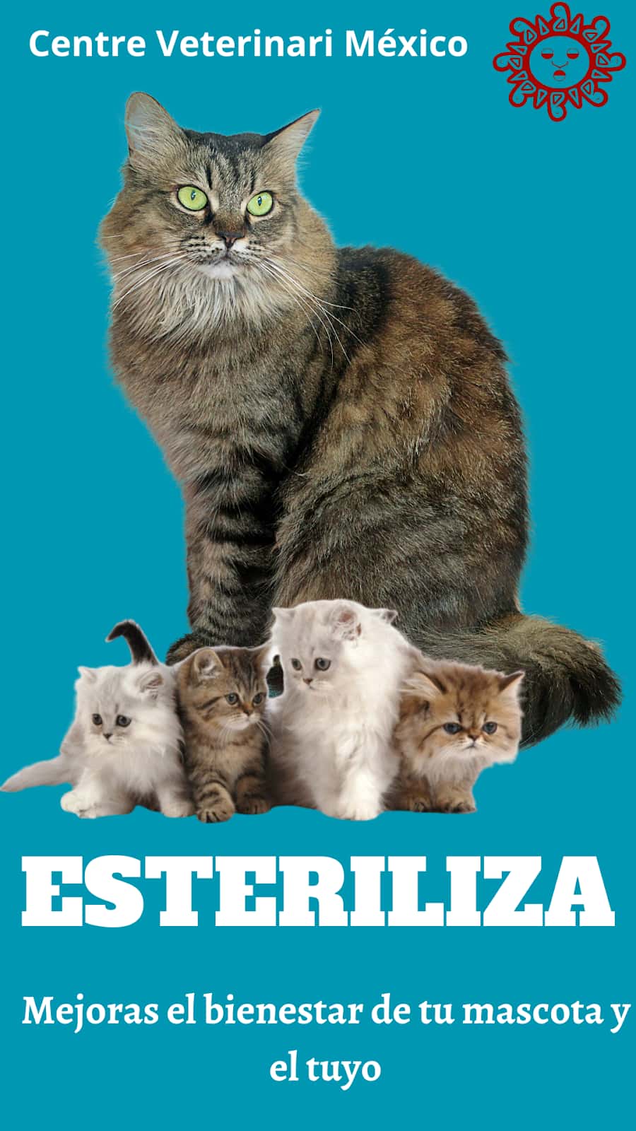 Centre Veterinari México
