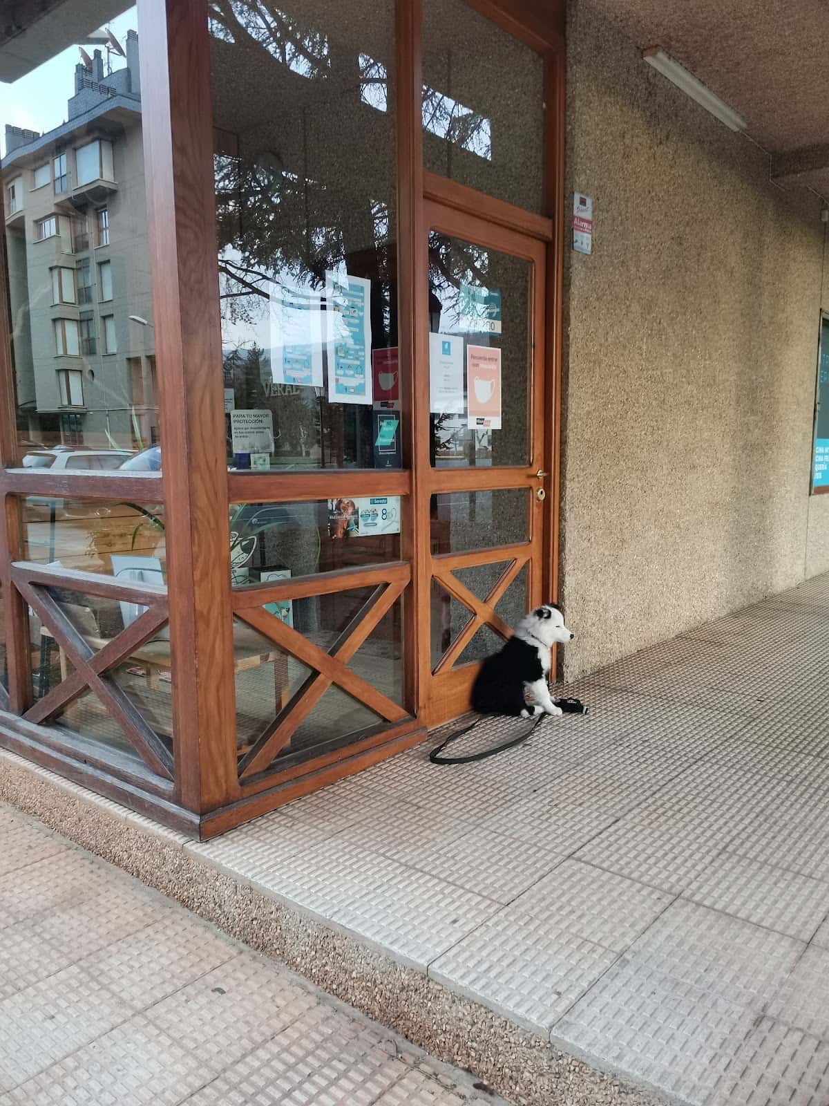 centro veterinario rio veral s l  veterinario centro en jaca en huesca principalImage ADOPTA Sitios Pet Friendly