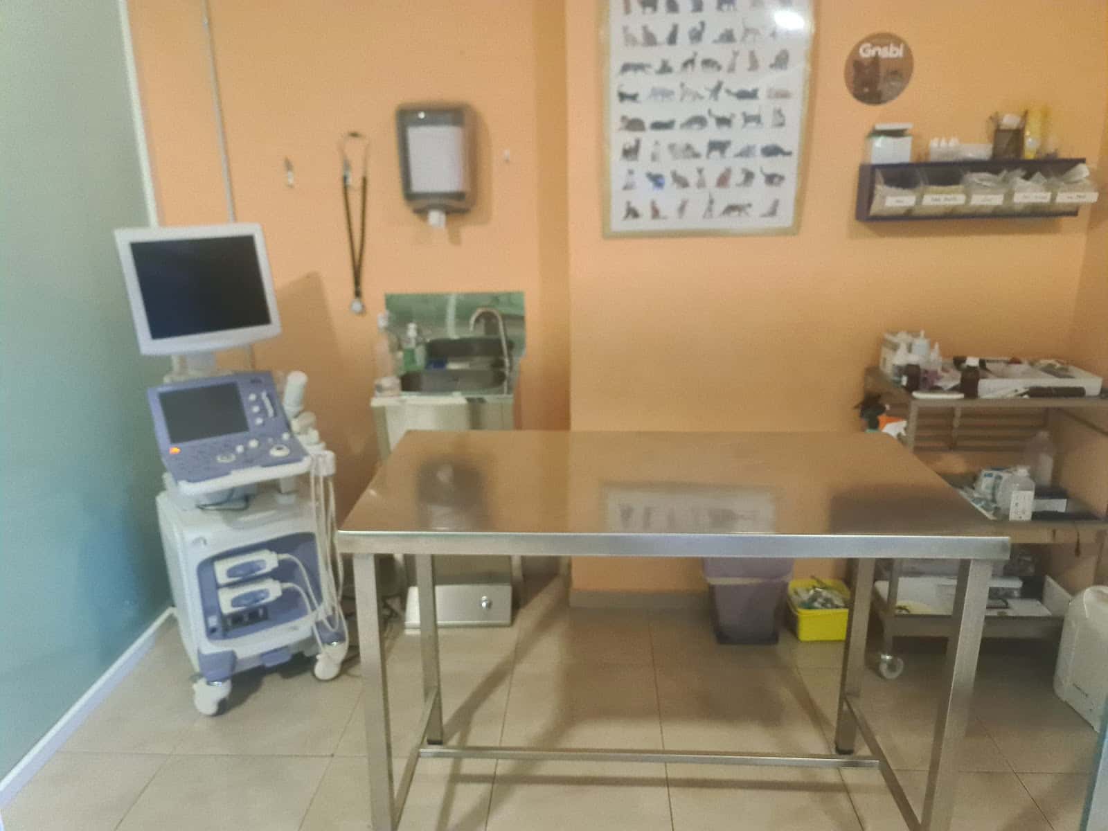 Clínica Veterinaria Fraga