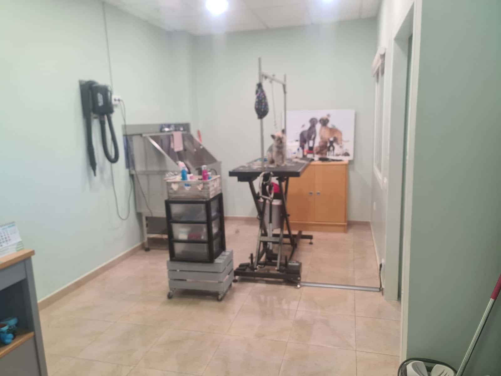 Clínica Veterinaria Fraga