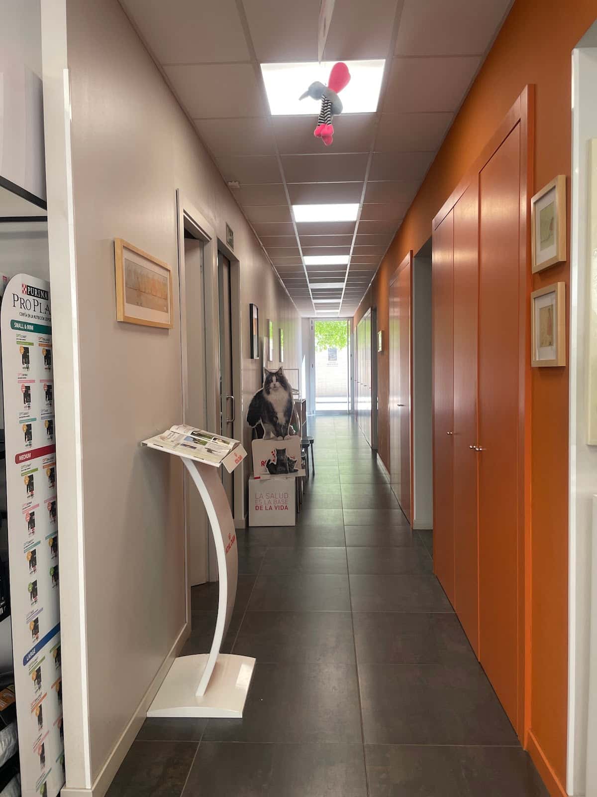 agueda clinica veterinaria veterinario clinica en fraga en huesca principalImage ADOPTA Sitios Pet Friendly