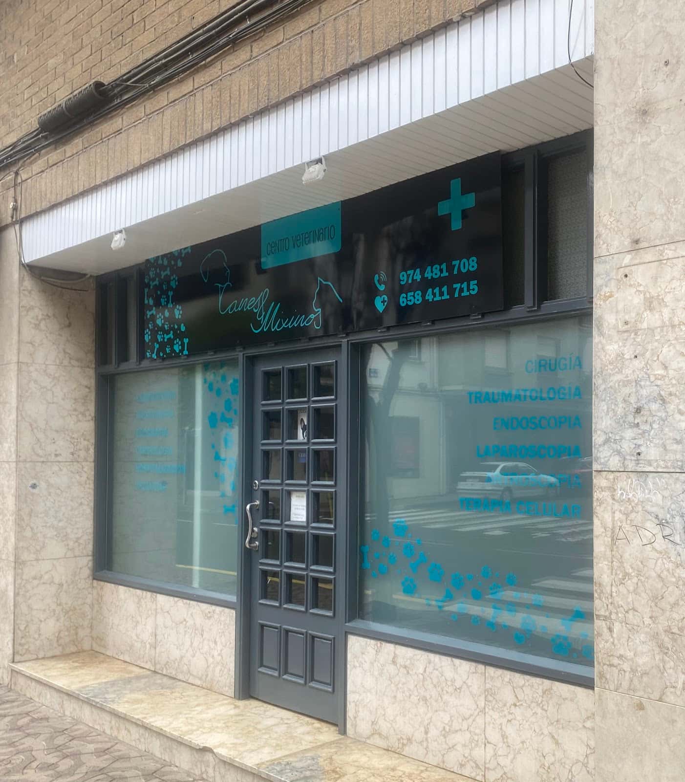Centro Veterinario Canes & Mixinos