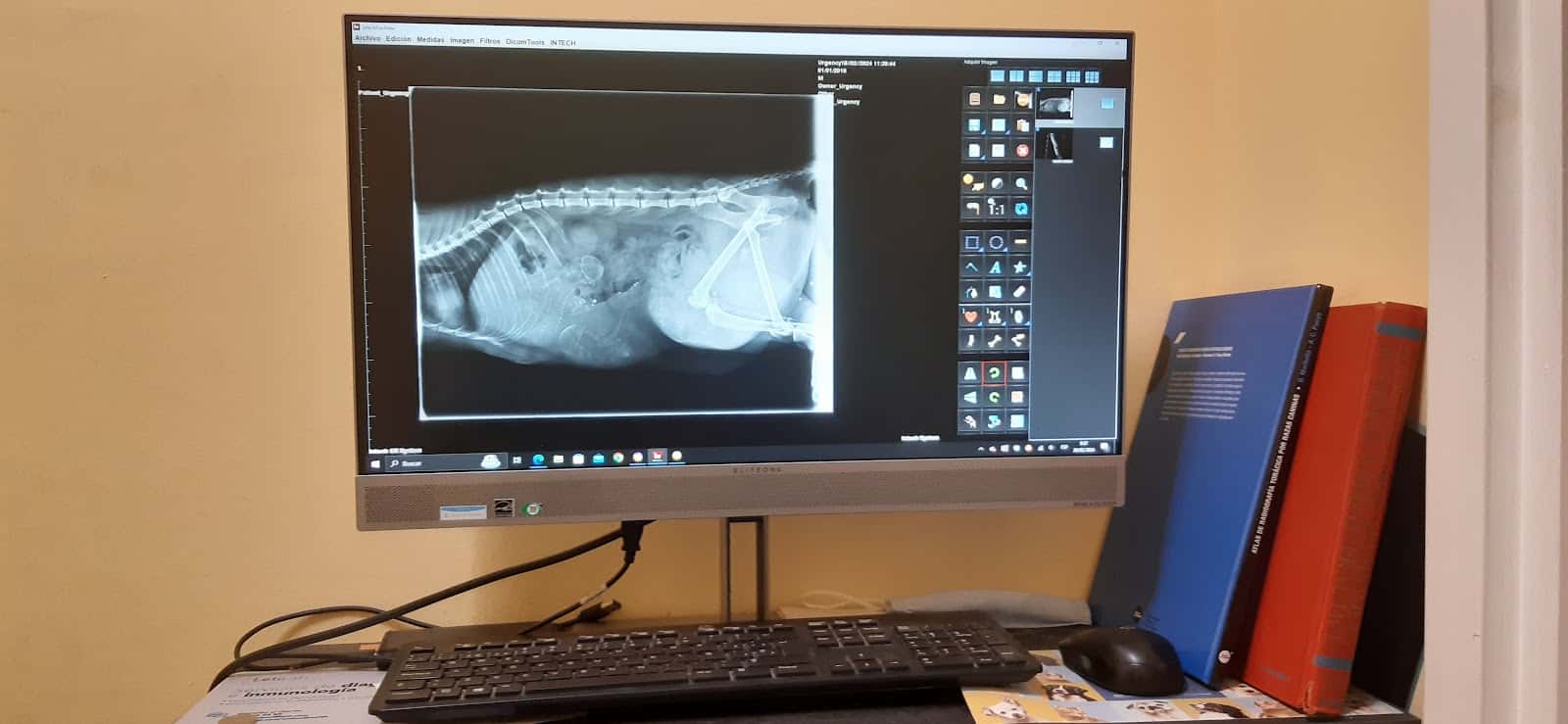 Centro Veterinario Canes & Mixinos