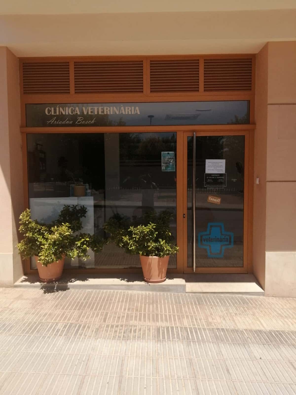 clinica veterinaria ariadna bosch veterinario clinica en tremp en lleida principalImage ADOPTA Sitios Pet Friendly