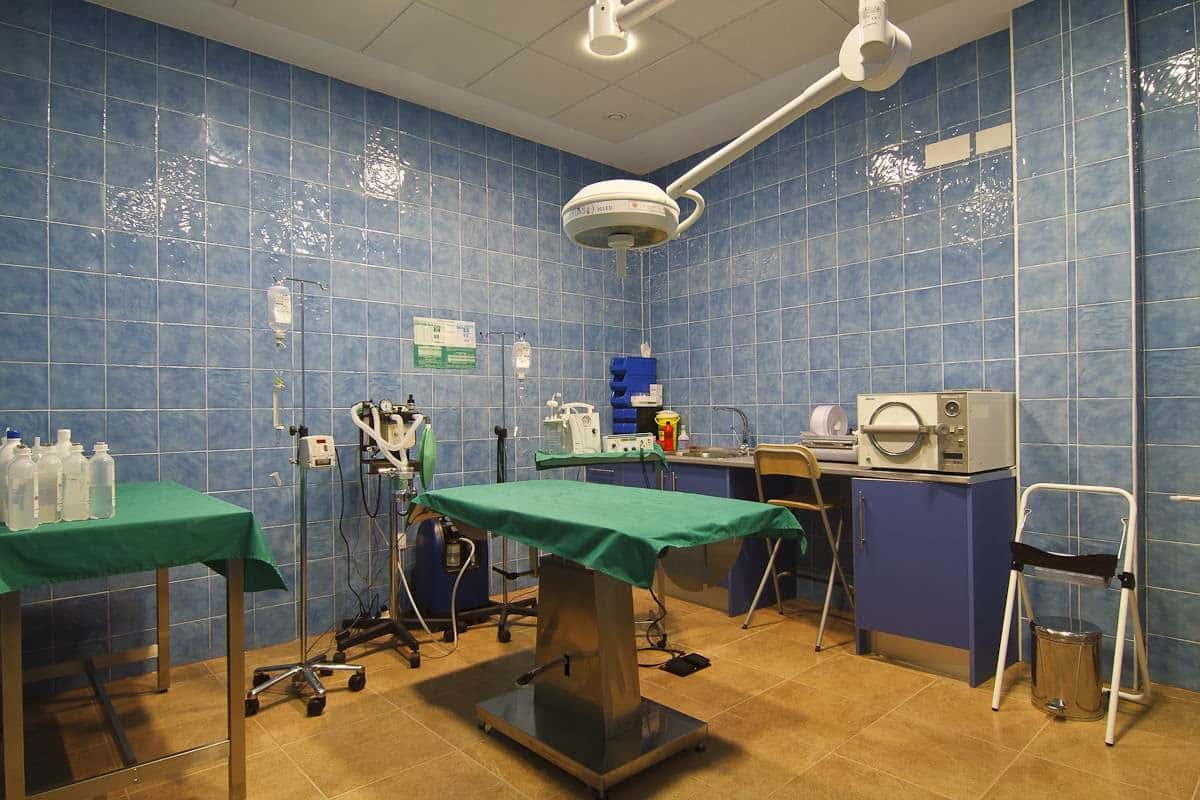 cevan  centro veterinario andujar s l   veterinario centro en andujar en jaen principalImage ADOPTA Sitios Pet Friendly