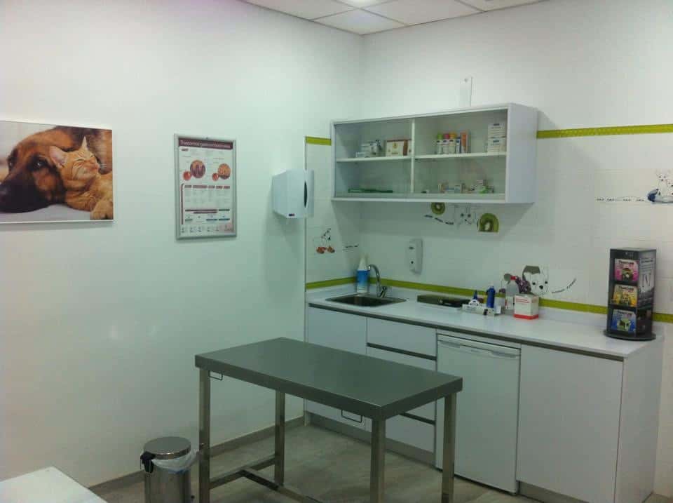 clinica veterinaria linarejos veterinario clinica en linares en jaen principalImage ADOPTA Sitios Pet Friendly