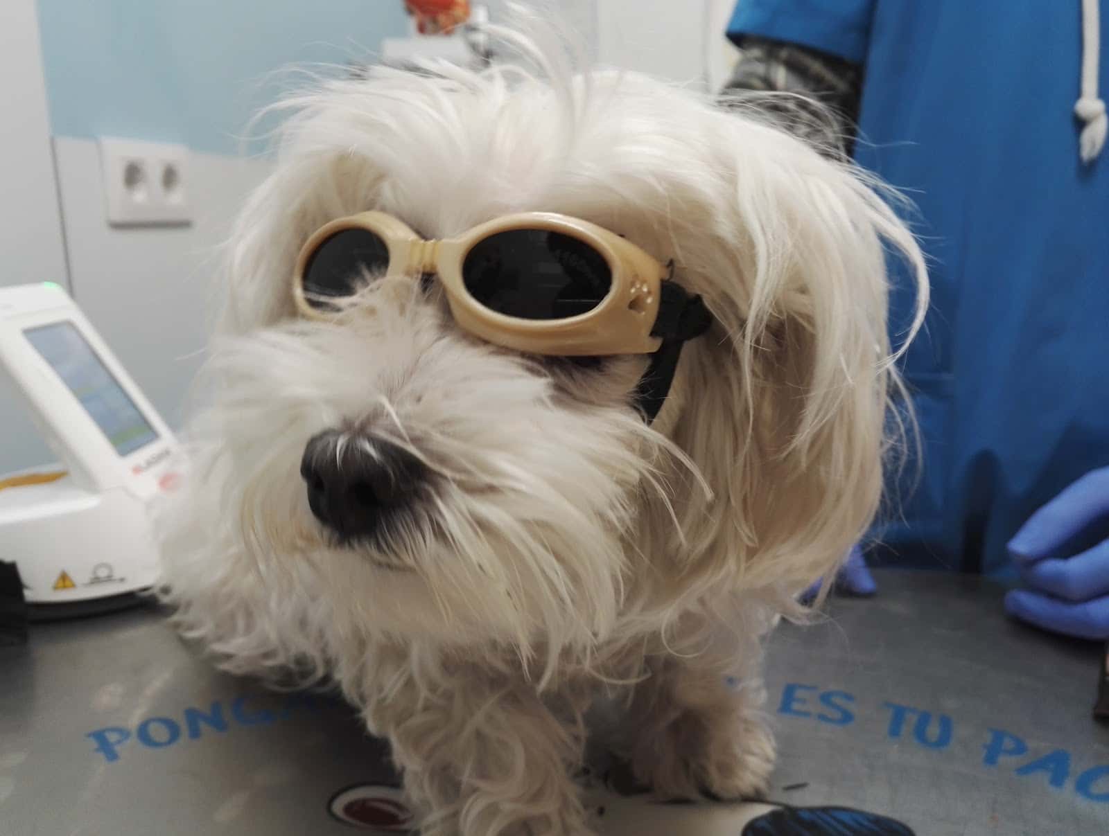 Clínica Veterinaria WECAN Aimar