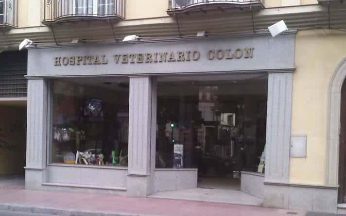 hospital veterinario colon veterinario hospital en linares en jaen principalImage ADOPTA Sitios Pet Friendly