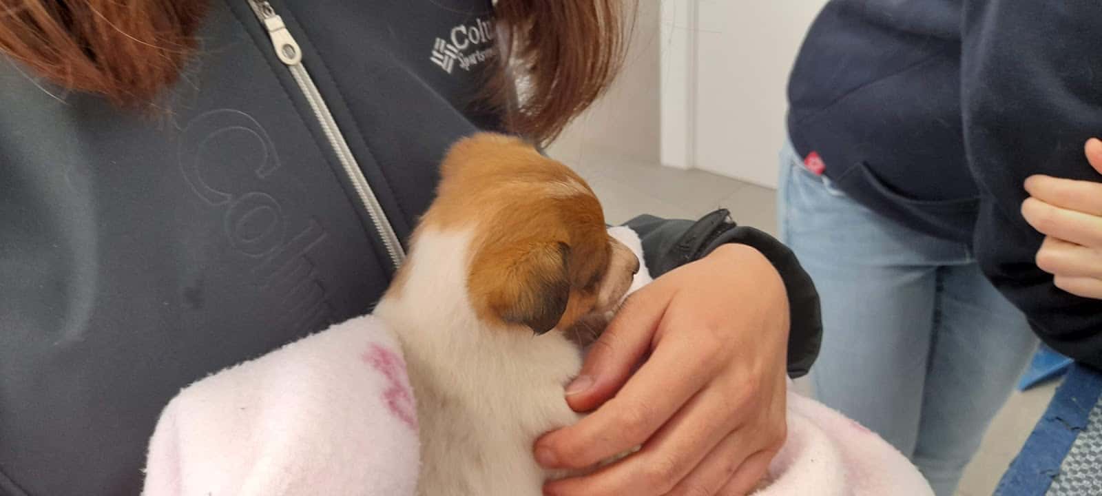 LA PLACITA Centro Veterinario