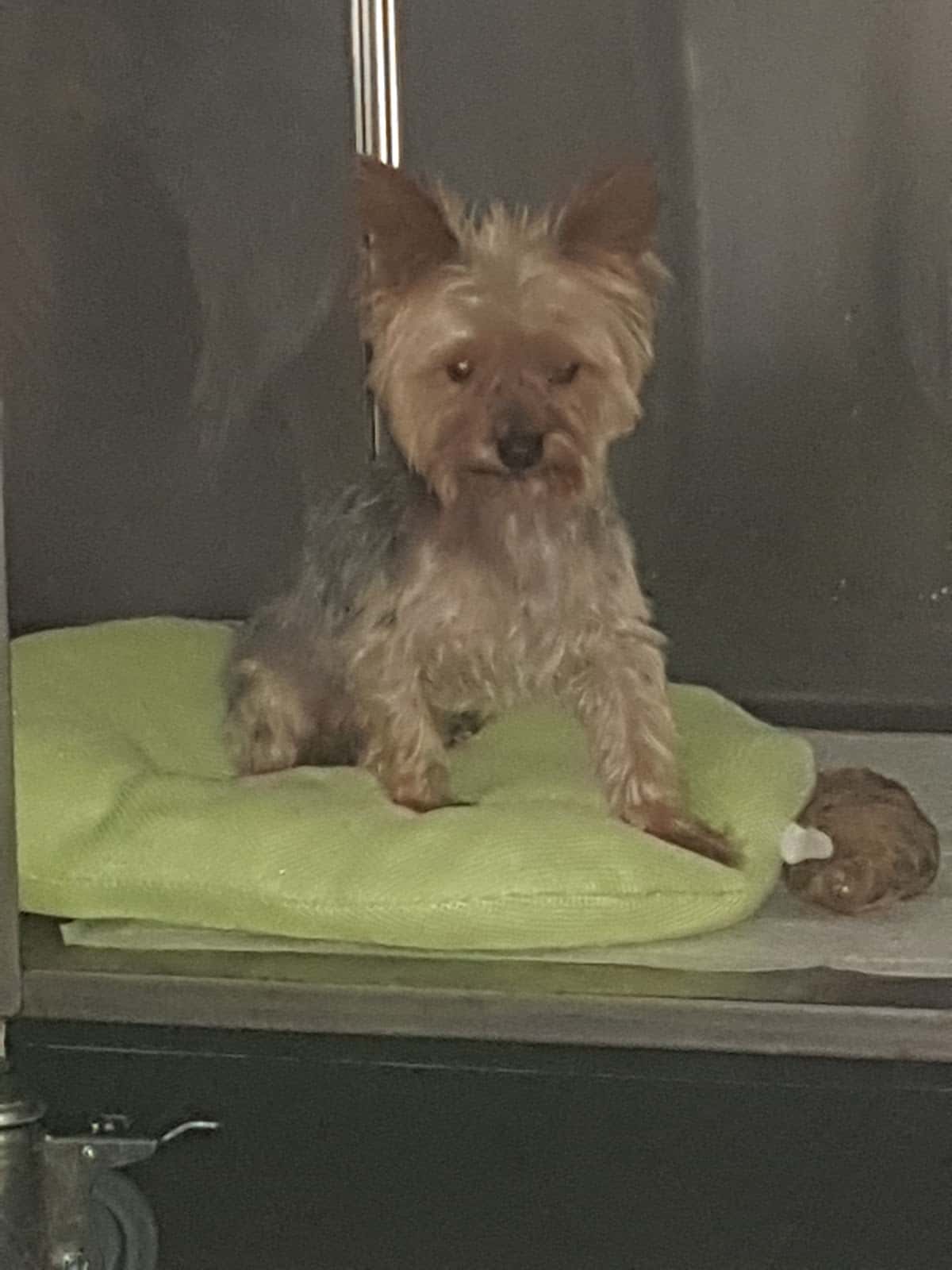 Clínica veterinaria "La Atalaya"