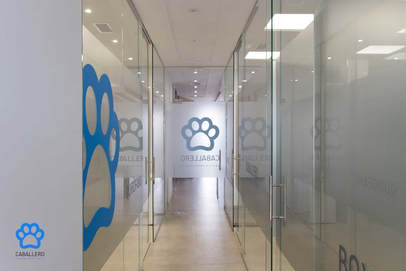 Clínica Veterinaria Caballero